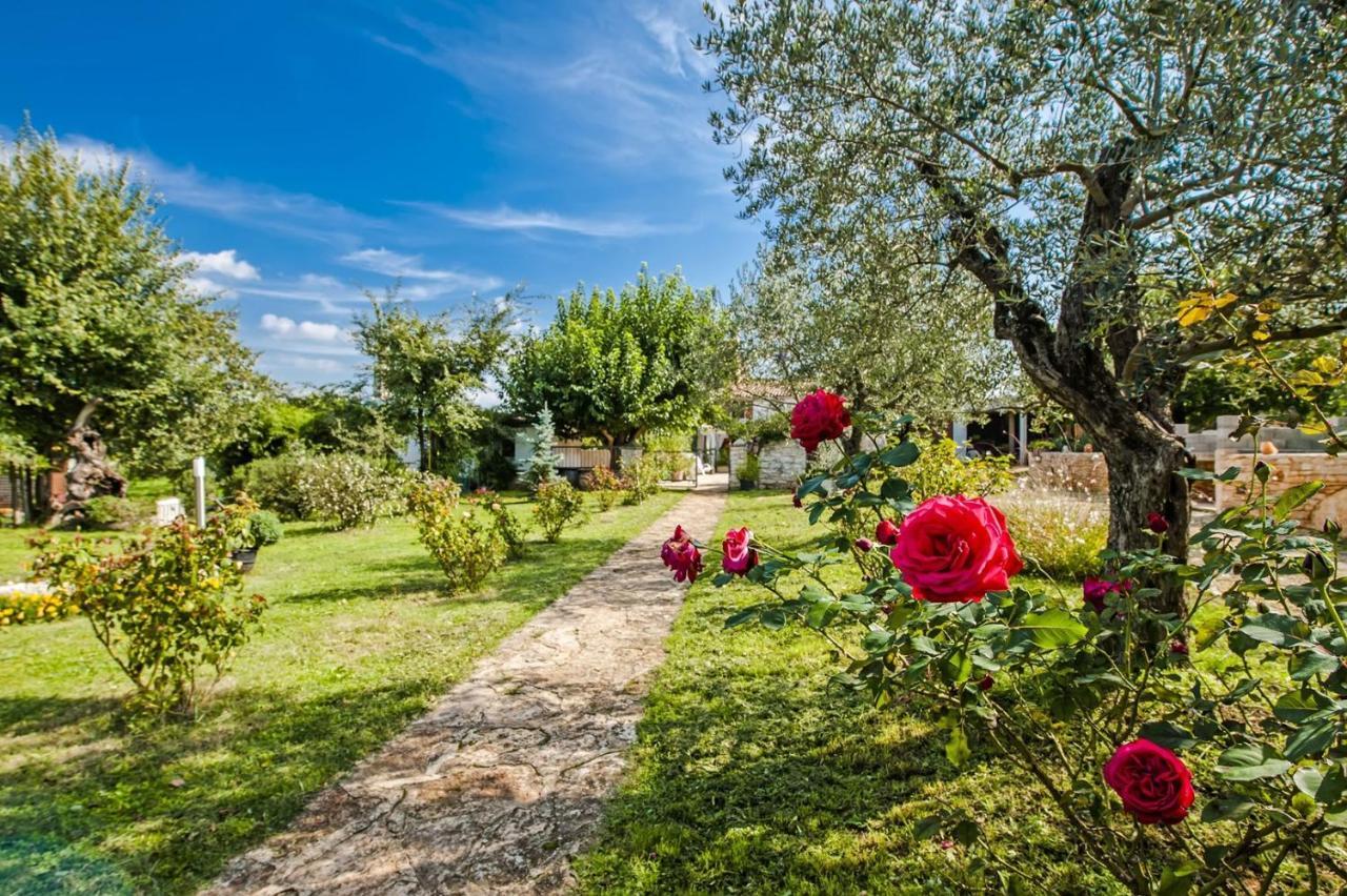 Holiday Apartment Daria 20 Rovinj Extérieur photo